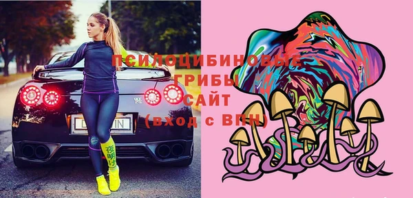 дмт Алзамай